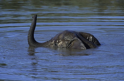 loch-ness-hl-obrazek.jpg loch-ness-hl-obrazek.jpg